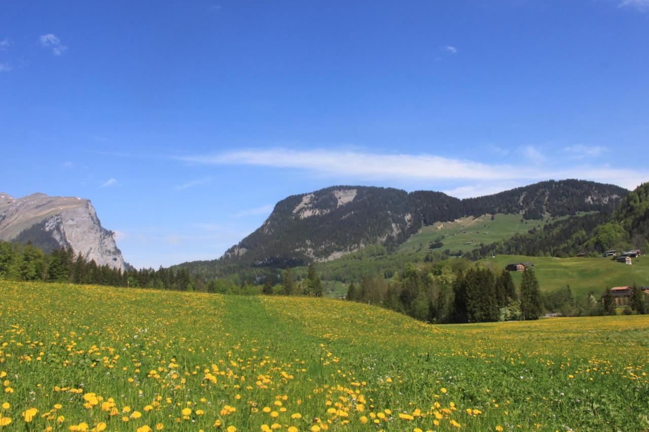Kanistraum Appartement Schoppernau Exteriér fotografie